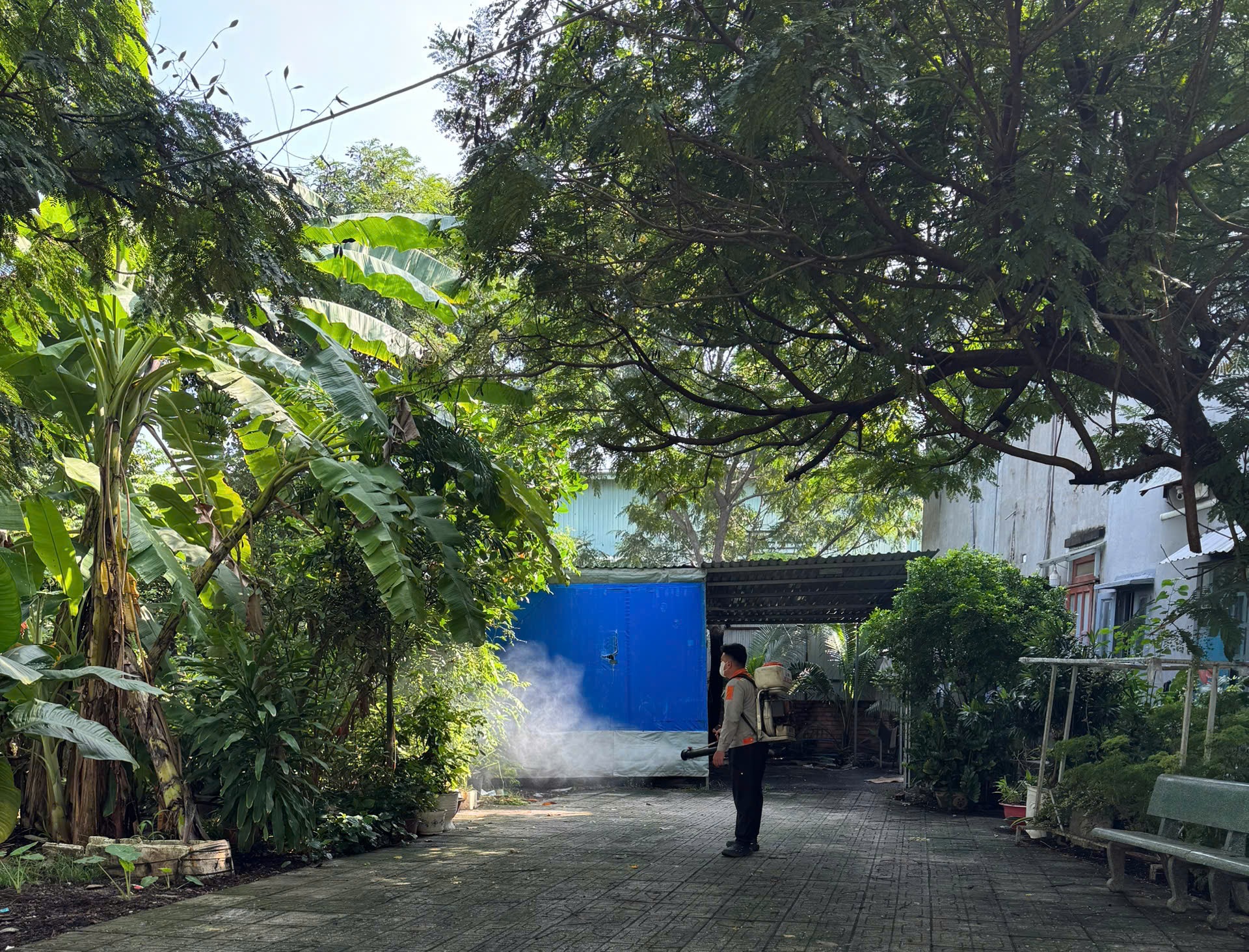 Dịch vụ diệt bọ đậu đen